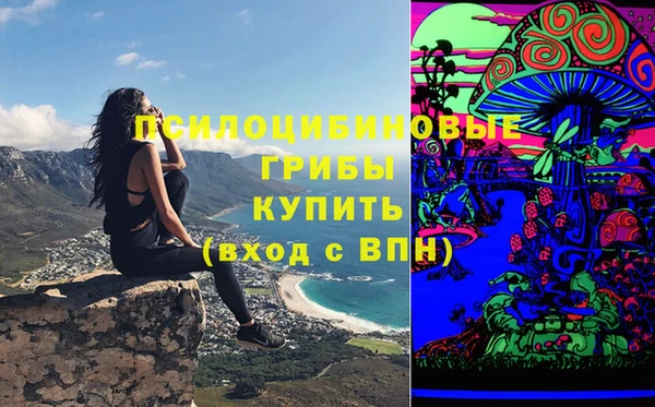прущий лед Алзамай